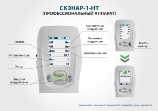 СКЭНАР-1-НТ (исполнение 01)  в Сарове купить Скэнар официальный сайт - denasvertebra.ru 