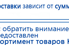 СКЭНАР-1-НТ (исполнение 01 VO) Скэнар Мастер купить в Сарове, Аппараты Скэнар купить в Сарове, Скэнар официальный сайт - denasvertebra.ru